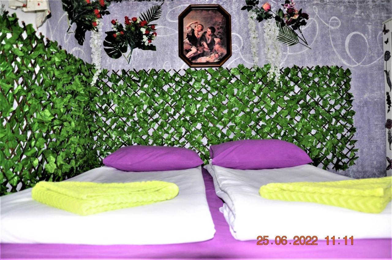 Social Guest House Sofia Ngoại thất bức ảnh